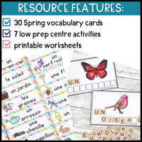 Le printemps - French Spring Themed Literacy Activities and Vocabulary Cards