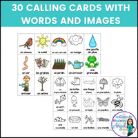 Le printemps - French Spring Vocabulary Bingo Game