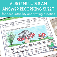 La Saint-Patrick: French St. Patrick's Day Writing with Sentence Builder Cards