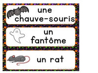 French Halloween Themed Literacy Activities