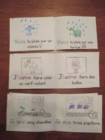 Printemps: Spring Themed Emergent Readers in French - 3 mini-books