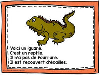 French Animal Classification Reader - Les reptiles