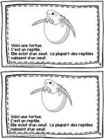 French Animal Classification Reader - Les reptiles