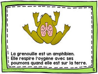 French Animal Classification Reader  - Les amphibiens