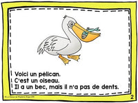 French Animal Classification Reader - Les oiseaux