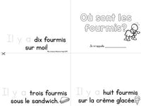 Summer (été) Themed Emergent Readers in French - 3 mini-books