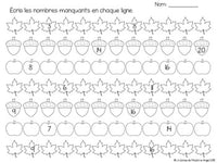 French Math Centers:  Numbers to 20 - les nombres 1 à 20