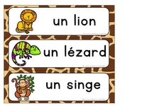 Zoo Themed Vocabulary Activities in French