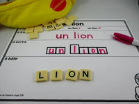 Zoo Themed Word Work Activity Mats in French