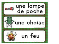 Camping Themed Vocabulary Activities in French