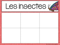 La classification des animaux - Animal Sorting Center in French