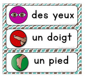 Parties du corps:  Parts of the Body Themed Vocabulary Activities in French