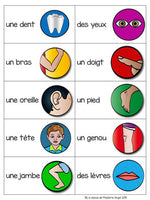 Parties du corps:  Parts of the Body Game in French - La tapette à mouches