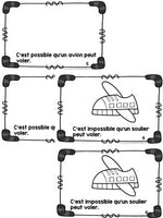 Probabilité:  Probability Themed Emergent Reader in French (C'est possible!)