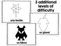 French Four Season Pattern Block Pictures BUNDLE