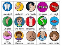 French Bingo BUNDLE: thèmes variés