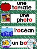 French Phonics Printables: Mes premiers sons (voyelle o)