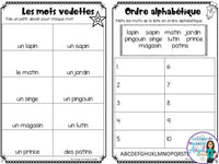 French Phonics Activities: Mon cahier des sons partie 2 {son composé in}