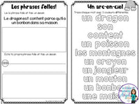 French Phonics Activities: Mon cahier des sons partie 2 {son composé on}