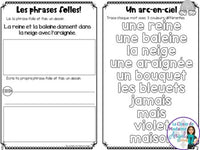 French Phonics Activities: Mon cahier des sons partie 2 Bundle #2