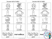 French Phonics Activities: Mon cahier des sons partie 2 {son composé eil/eille}