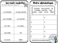 French Phonics Activities: Mon cahier des sons partie 2 {son composé ail/aille}