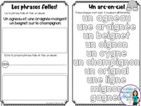 French Phonics Activities: Mon cahier des sons partie 2 {son composé gn}