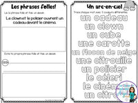 French Phonics Activities: Mon cahier des sons partie 2 {sons c dur/doux}