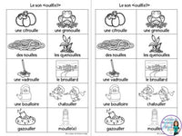 French Phonics Activities: Mon cahier des sons partie 2 -le son composé ouill(e)